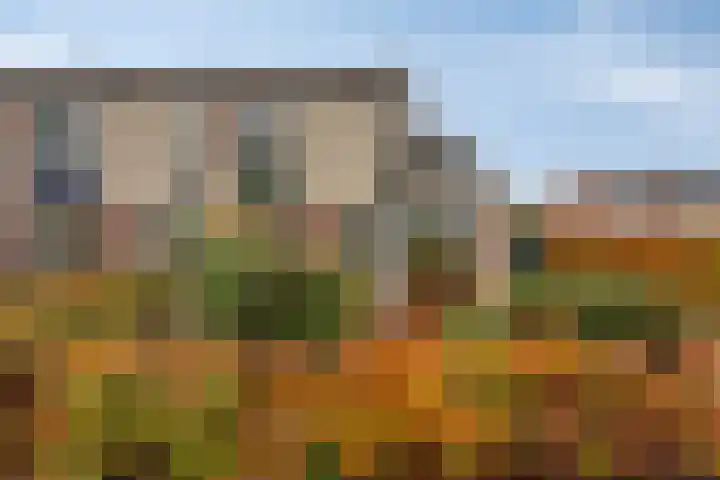 Lange Akker 121 Geldermalsen thumbnail 6