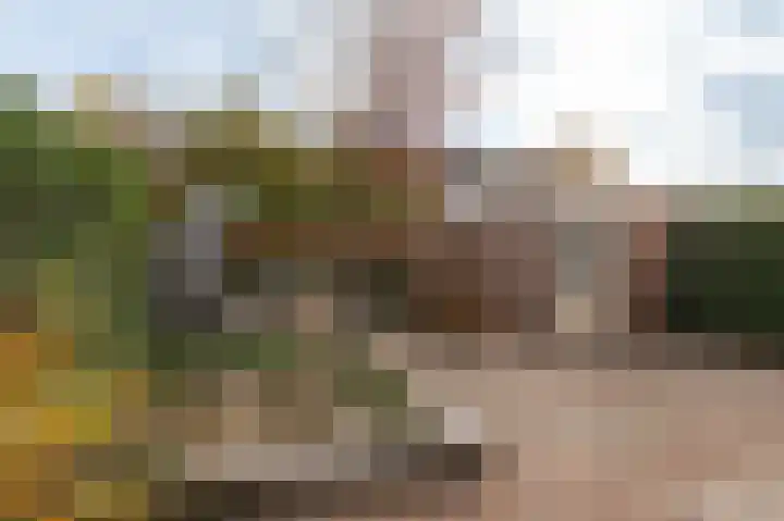 Lange Akker 125 Geldermalsen thumbnail 32