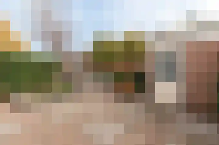 Lange Akker 125 Geldermalsen thumbnail 33