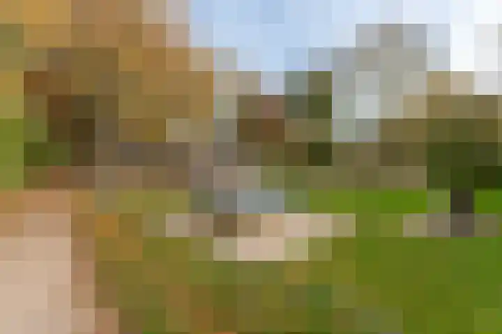 Lange Akker 125 Geldermalsen thumbnail 5