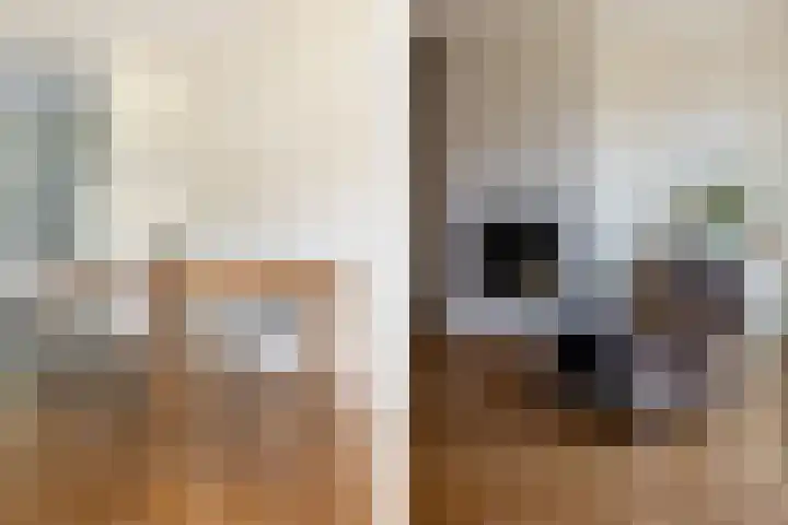 Lange Akker 127 Teteringen thumbnail 15