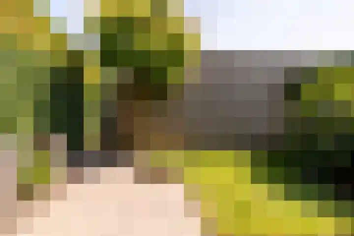 Lange Akker 127 Teteringen thumbnail 19