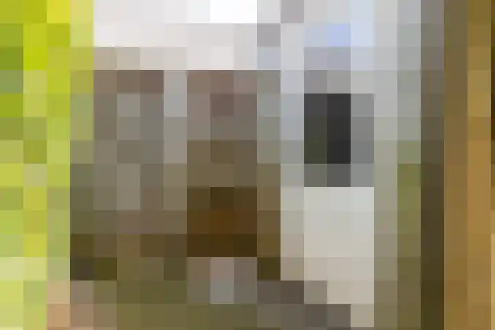 Lange Akker 127 Teteringen thumbnail 21