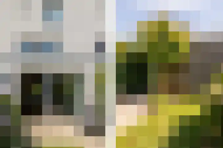 Lange Akker 127 Teteringen thumbnail 22