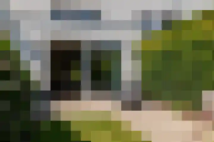 Lange Akker 127 Teteringen thumbnail 24