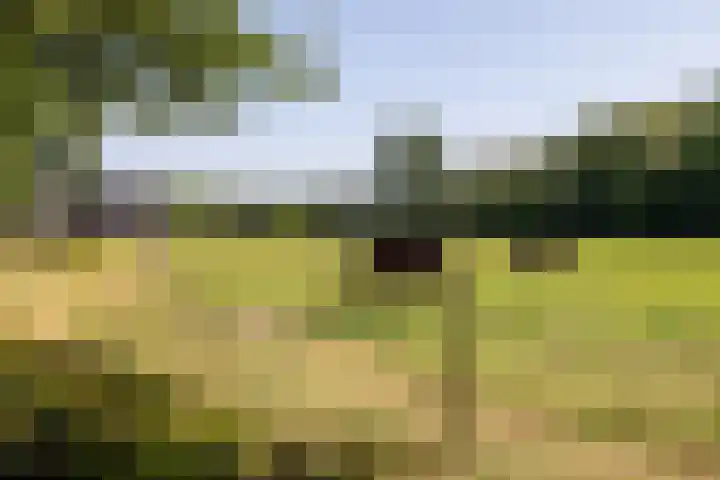 Lange Akker 127 Teteringen thumbnail 38