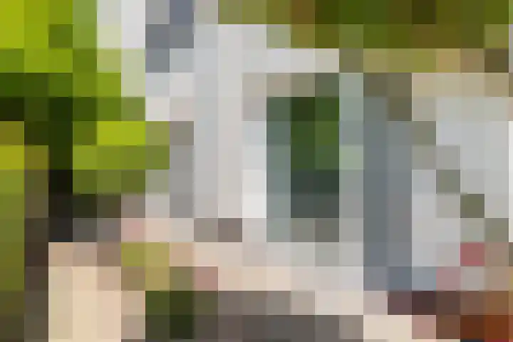 Lange Akker 127 Teteringen thumbnail 7