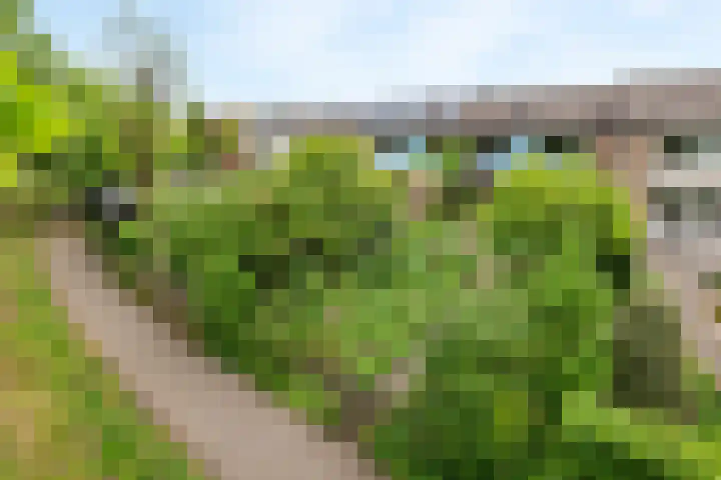 Lange Akker 142 Geldermalsen thumbnail 10
