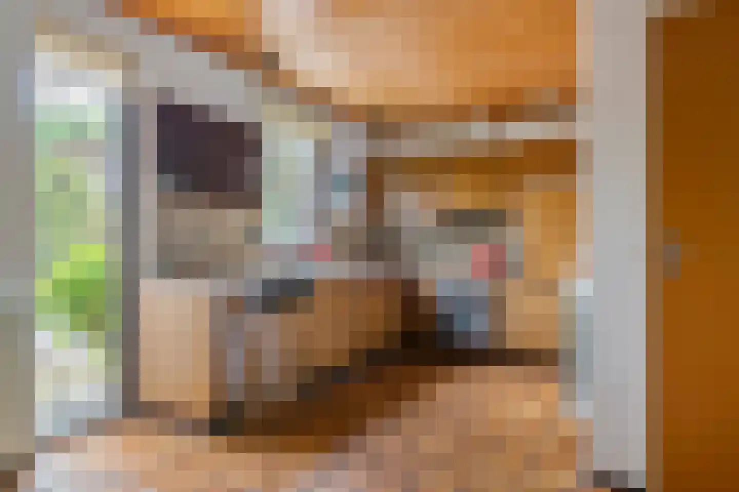 Lange Akker 142 Geldermalsen thumbnail 16