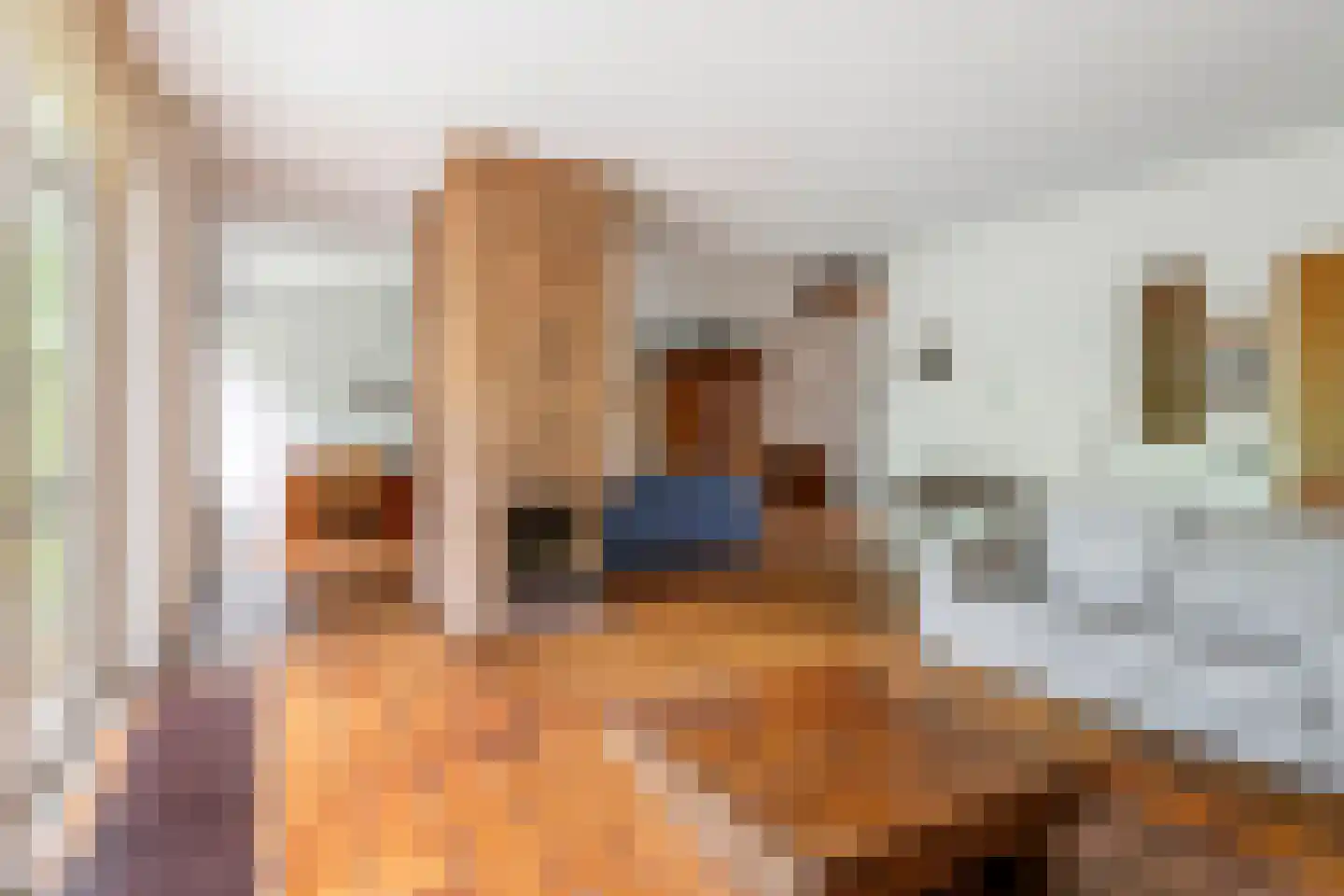 Lange Akker 142 Geldermalsen thumbnail 21