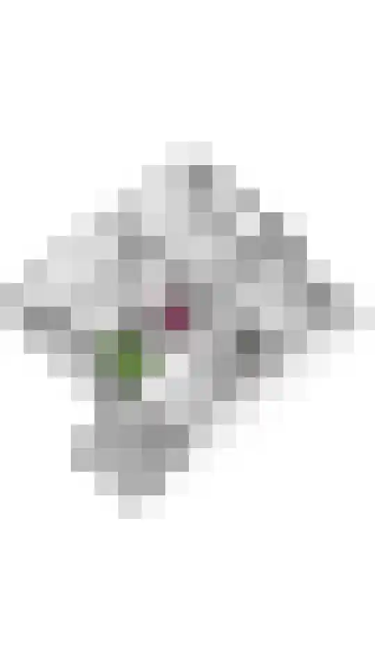 Lange Akker 142 Geldermalsen thumbnail 39
