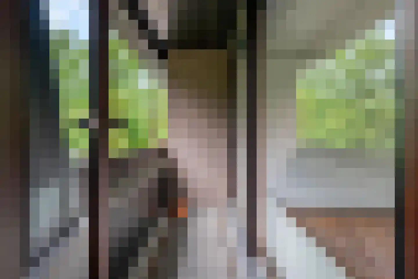 Lange Akker 142 Geldermalsen thumbnail 5
