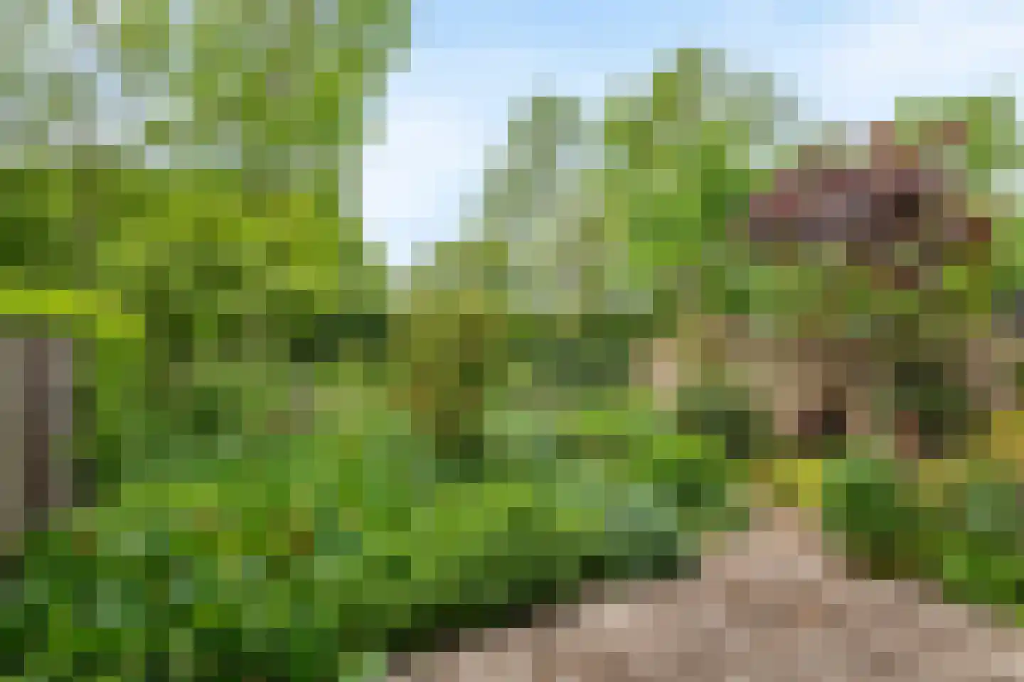 Lange Akker 142 Geldermalsen thumbnail 6