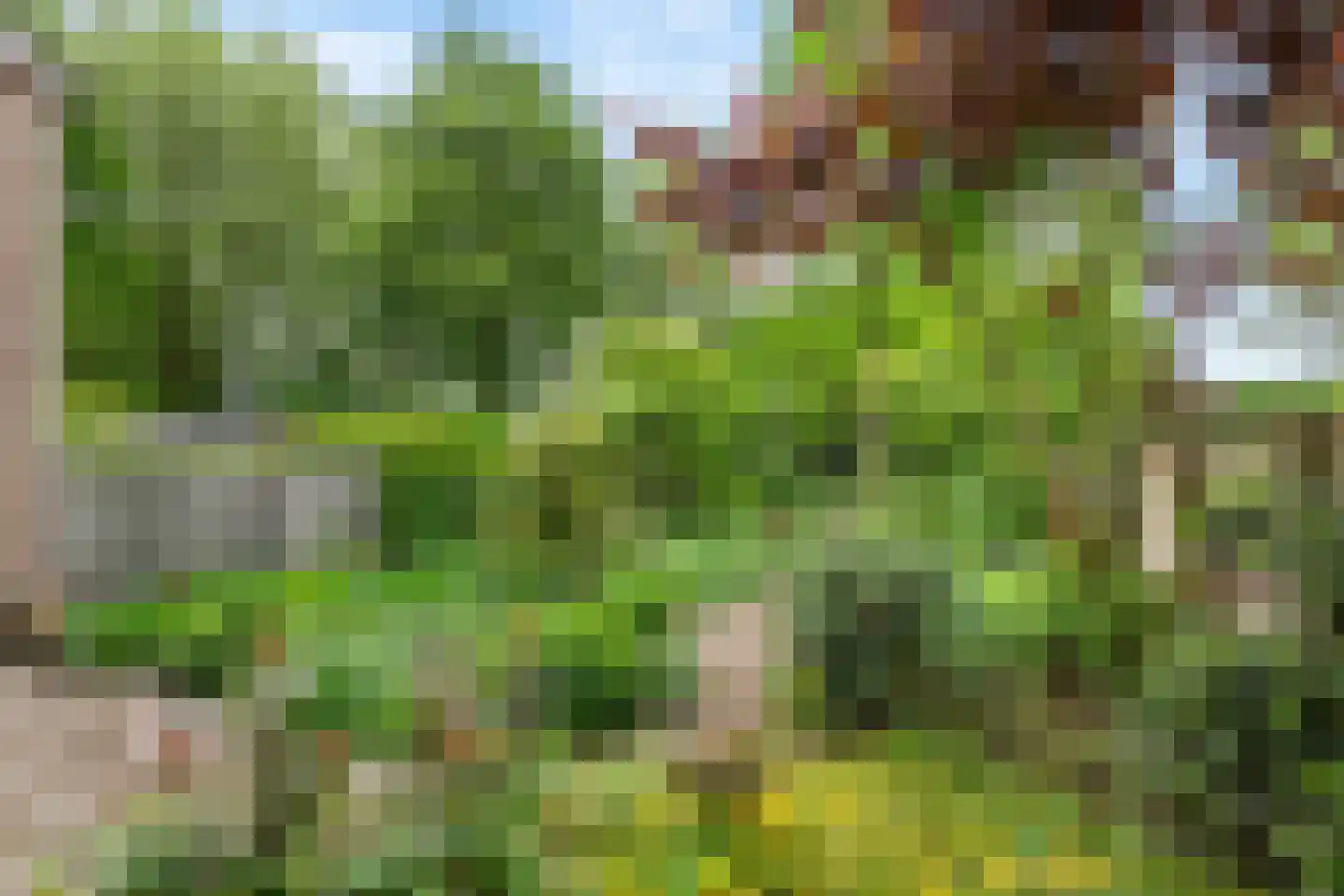 Lange Akker 142 Geldermalsen thumbnail 7