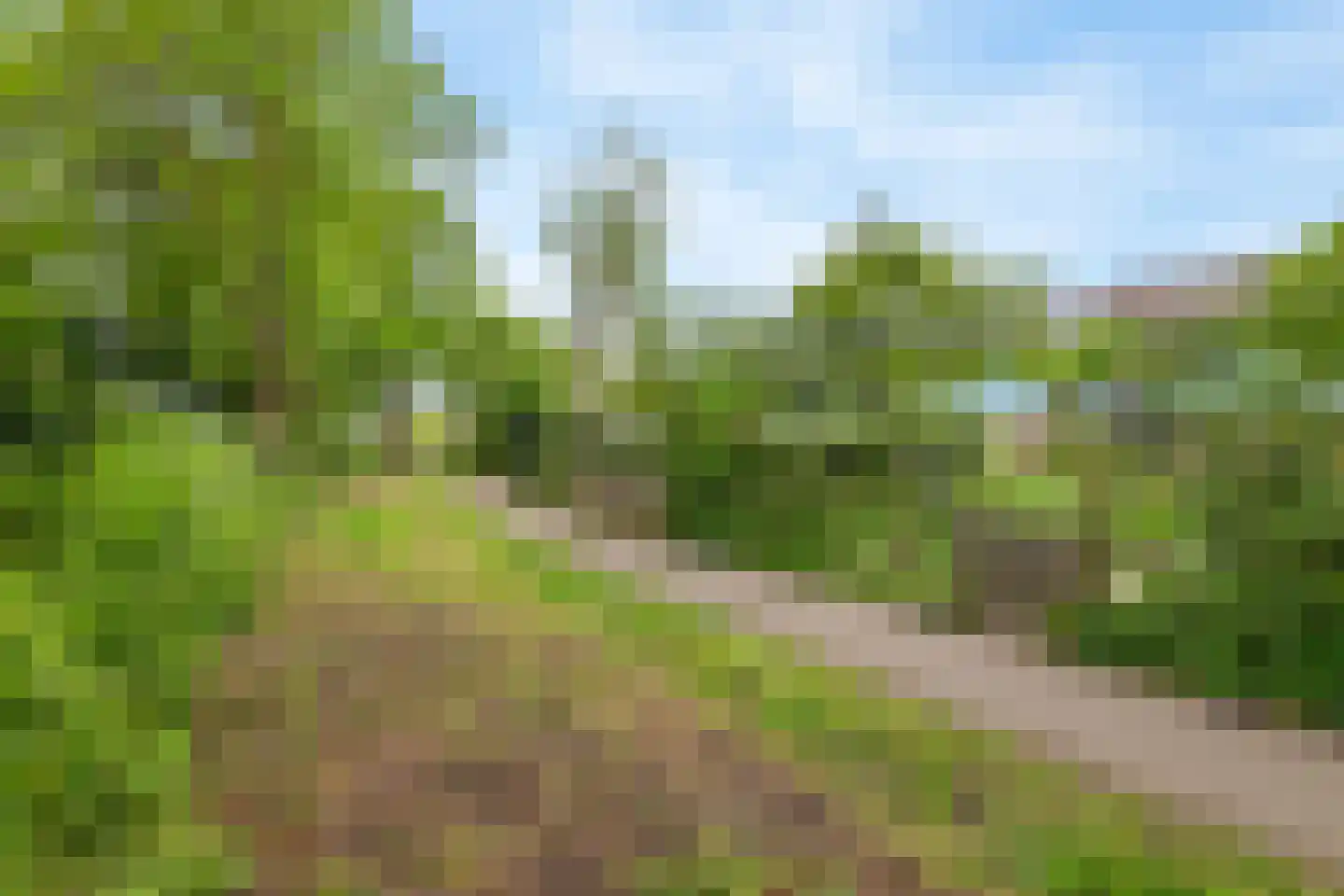 Lange Akker 142 Geldermalsen thumbnail 8