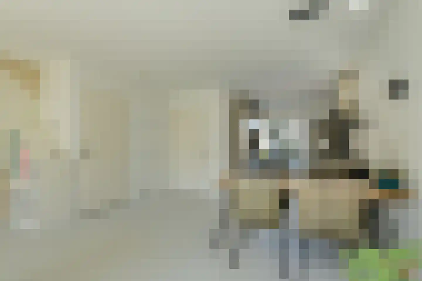 Lange Akker 151 Teteringen thumbnail 14