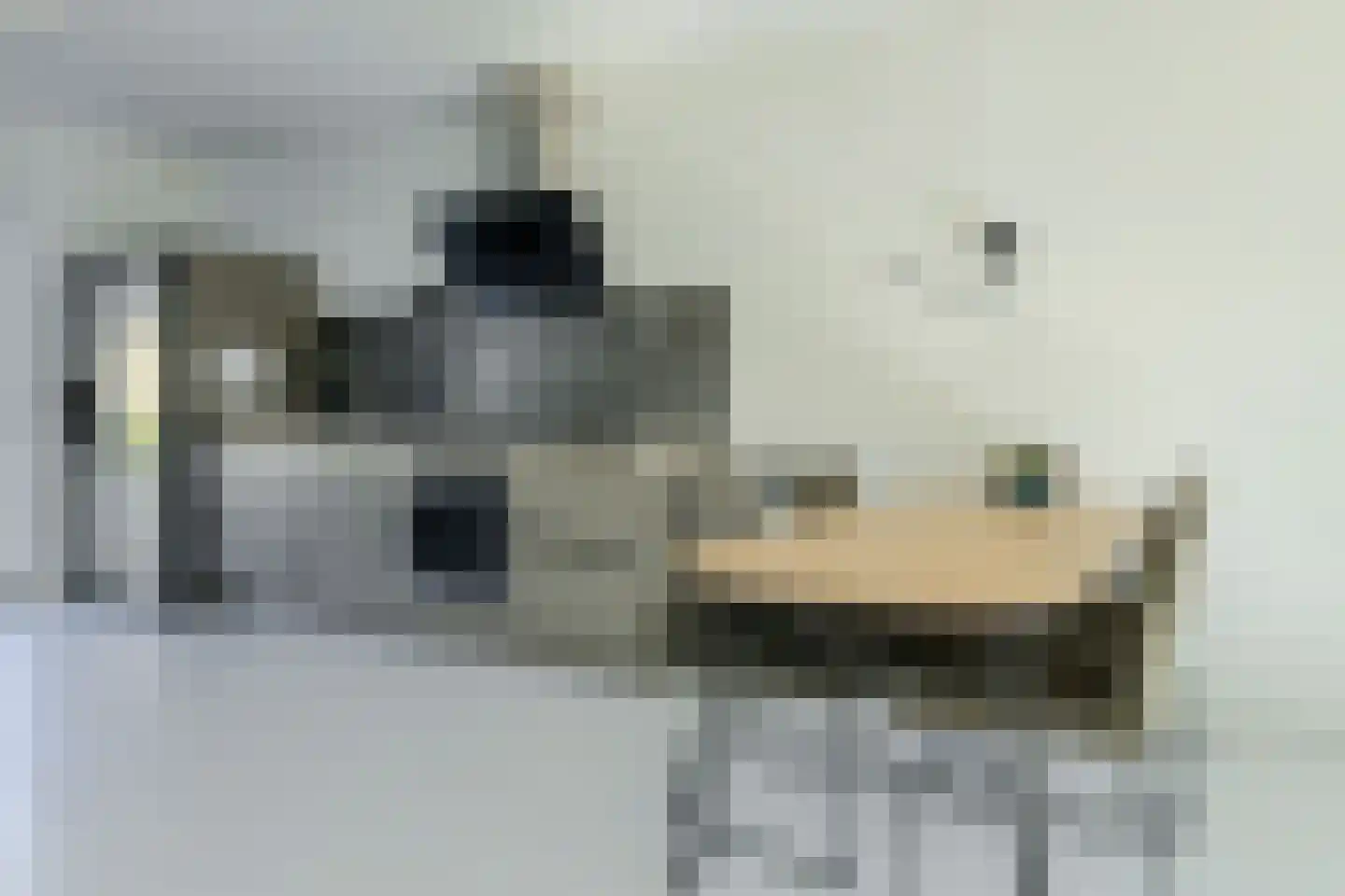 Lange Akker 151 Teteringen thumbnail 15