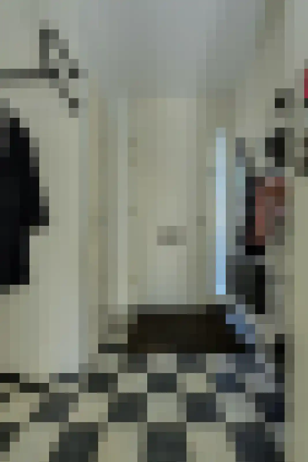 Lange Akker 151 Teteringen thumbnail 19