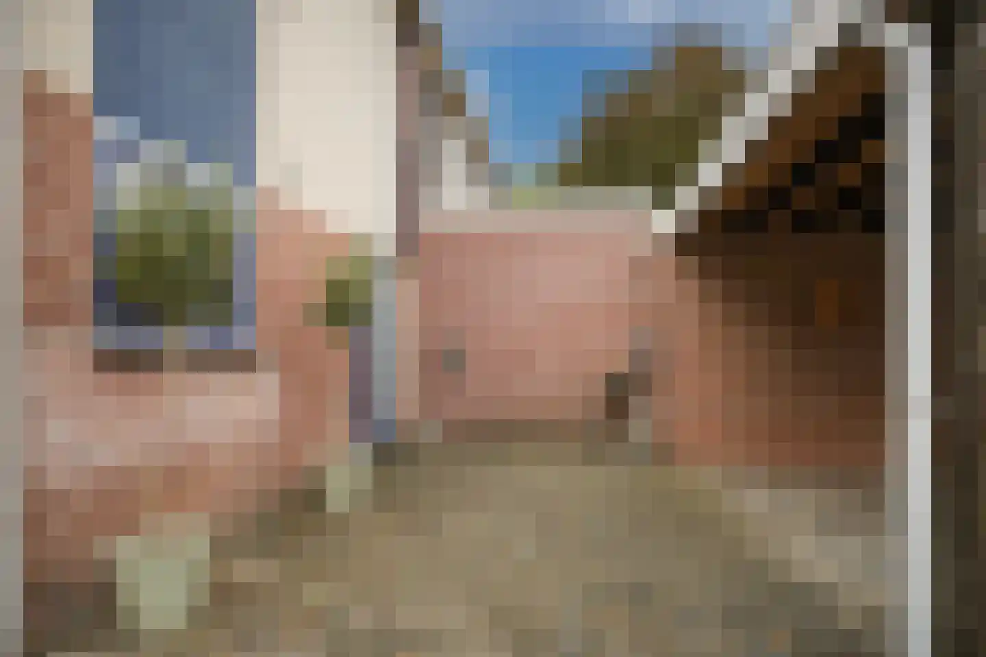 Lange Akker 159 Geldermalsen thumbnail 39