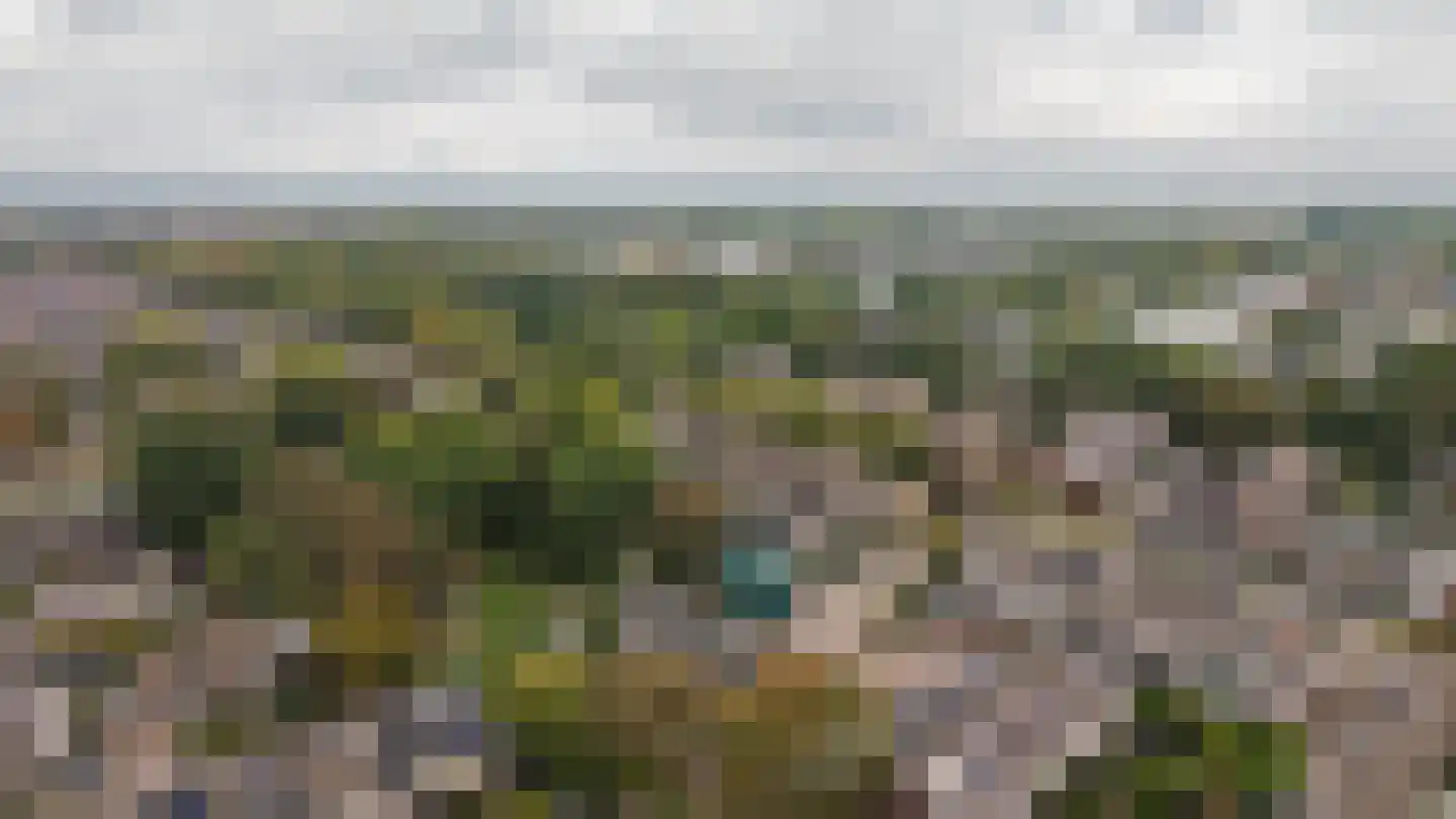 Lange Akker 159 Geldermalsen thumbnail 48