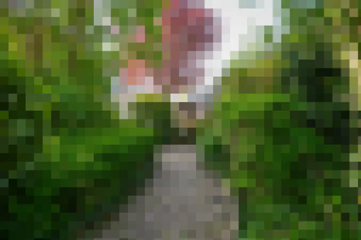 Lange Akker 167 Geldermalsen thumbnail 33
