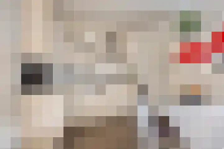 Lange Akker 17 Oosterwolde thumbnail 10