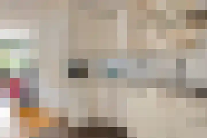 Lange Akker 17 Oosterwolde thumbnail 11