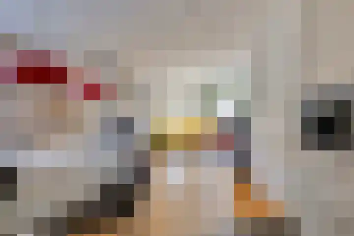 Lange Akker 17 Oosterwolde thumbnail 12