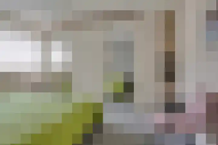 Lange Akker 17 Oosterwolde thumbnail 19