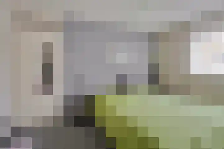 Lange Akker 17 Oosterwolde thumbnail 20