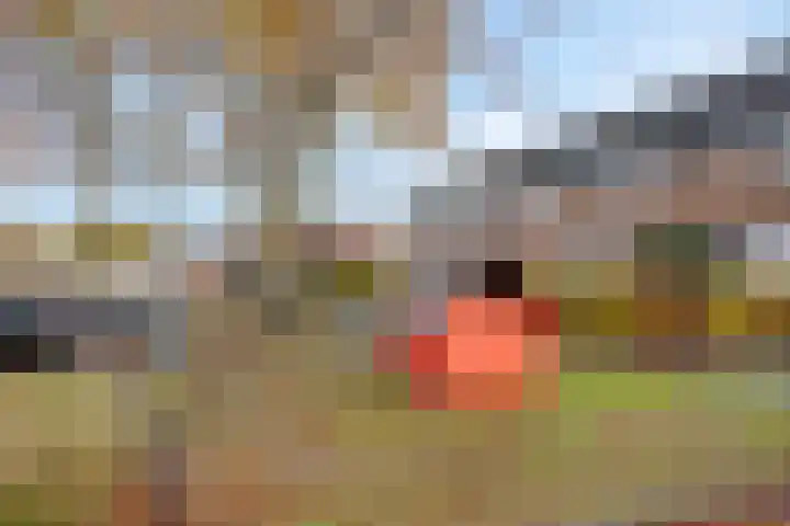 Lange Akker 17 Oosterwolde thumbnail 31