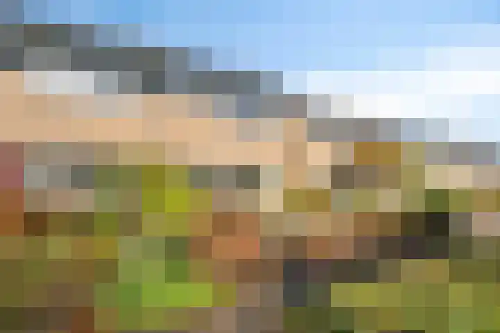 Lange Akker 17 Oosterwolde thumbnail 4