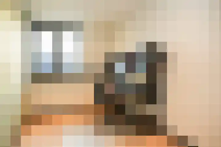 Lange Akker 179 Geldermalsen thumbnail 23