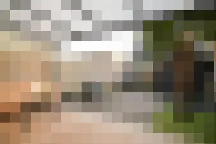 Lange Akker 179 Geldermalsen thumbnail 31