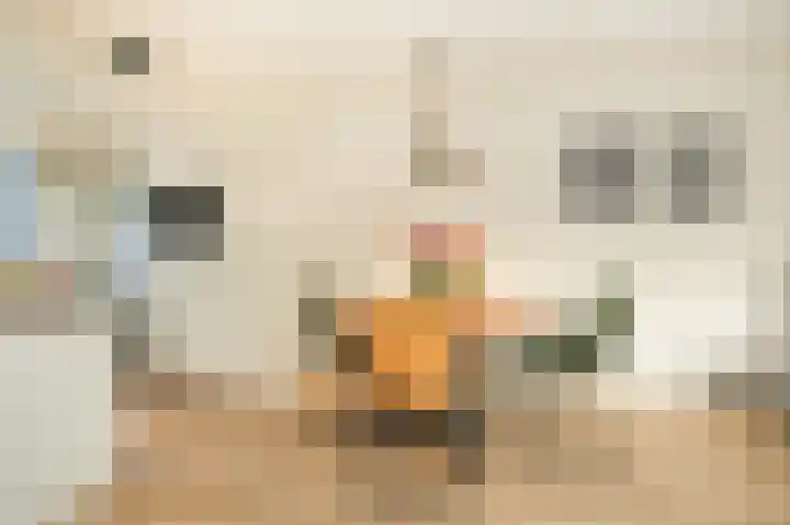Lange Akker 179 Geldermalsen thumbnail 8