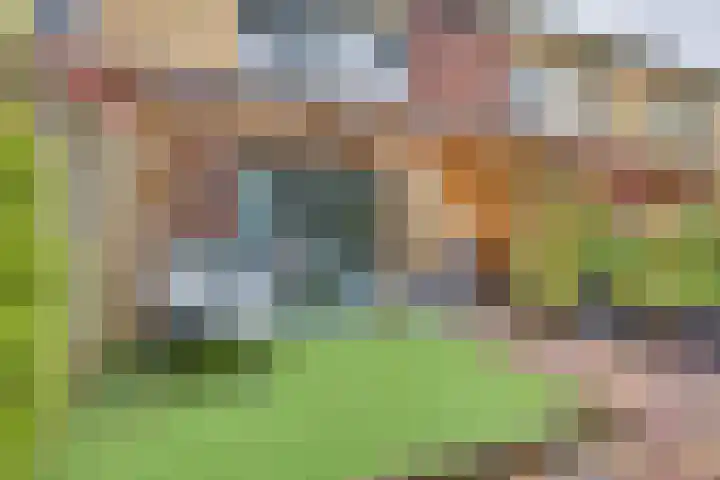 Lange Akker 19 Kampen thumbnail 33