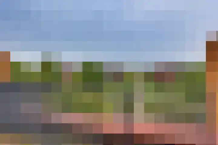 Lange Akker 19 Kampen thumbnail 50