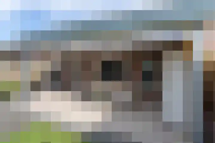 Lange Akker 19 Overloon thumbnail 13