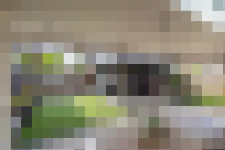 Lange Akker 19 Overloon thumbnail 14