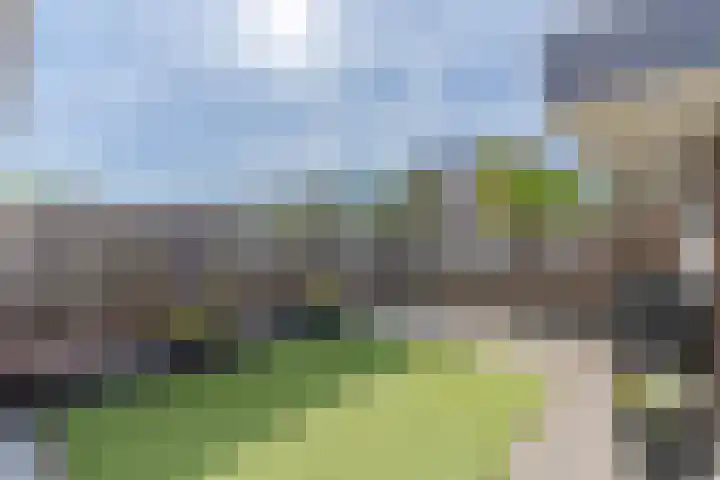 Lange Akker 19 Overloon thumbnail 18