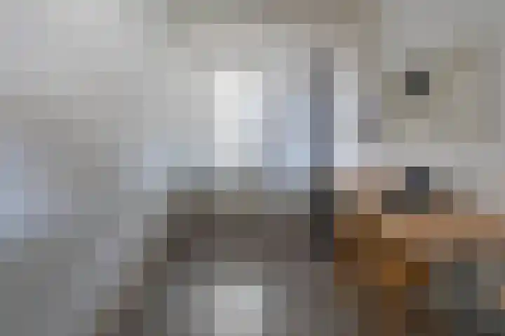 Lange Akker 19 Overloon thumbnail 22