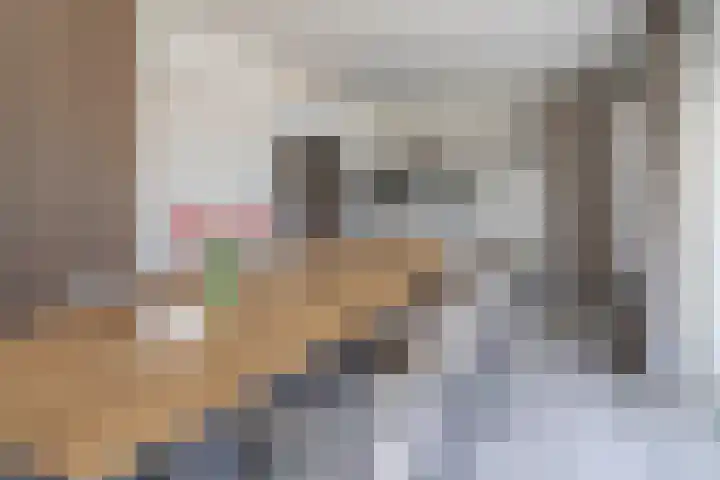 Lange Akker 19 Overloon thumbnail 26