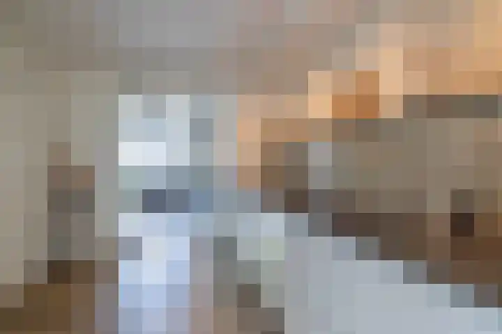 Lange Akker 19 Overloon thumbnail 37