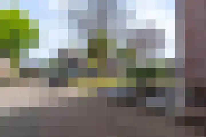 Lange Akker 19 Overloon thumbnail 4