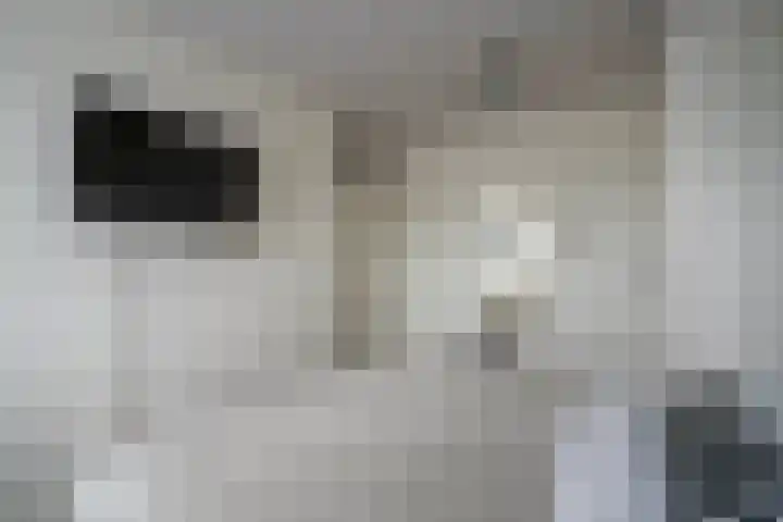 Lange Akker 19 Overloon thumbnail 47