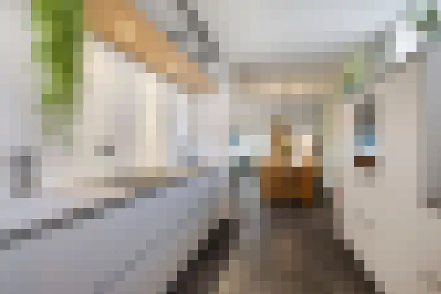 Lange Akker 193 Teteringen thumbnail 16