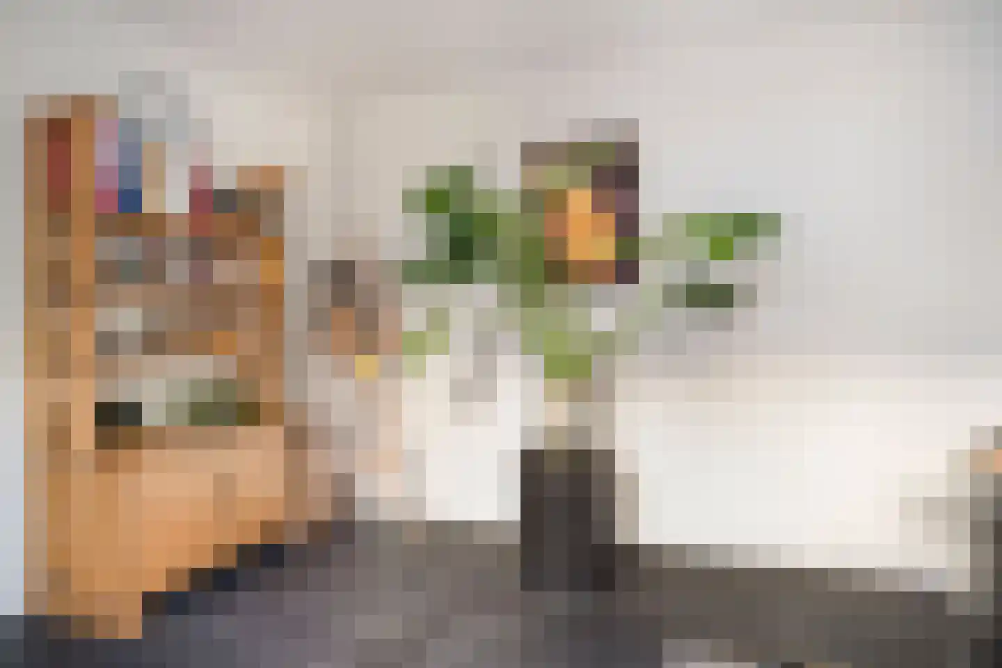 Lange Akker 193 Teteringen thumbnail 21
