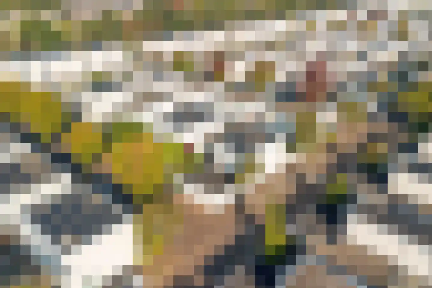 Lange Akker 193 Teteringen thumbnail 40