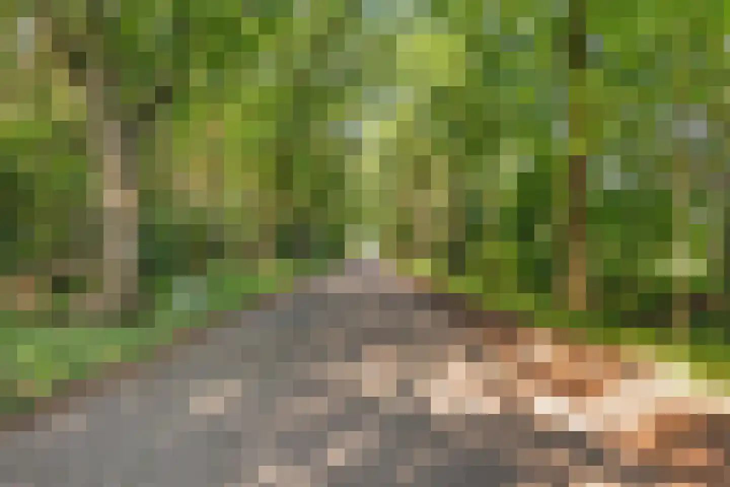 Lange Akker 217 Teteringen thumbnail 24