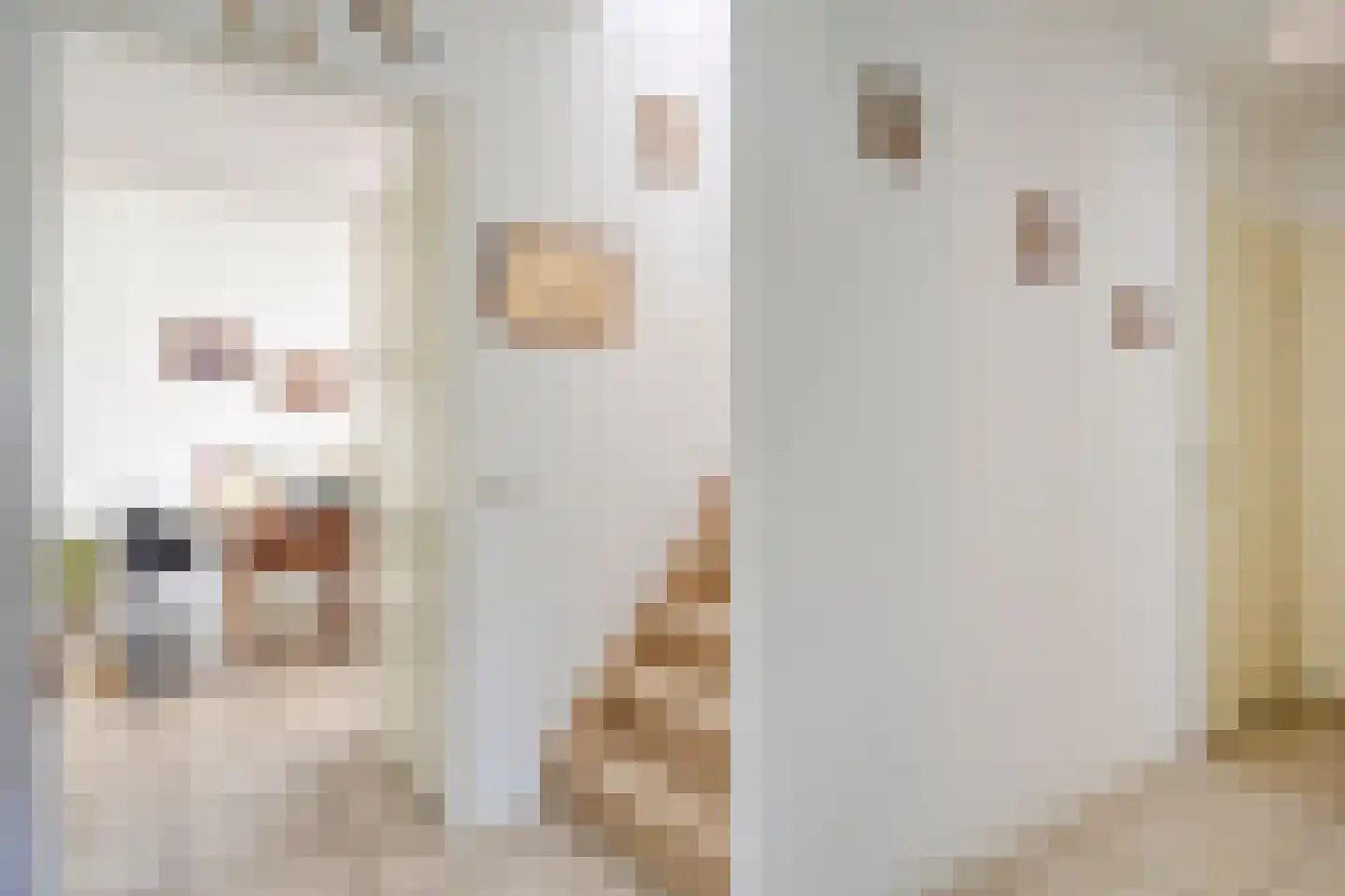 Lange Akker 217 Teteringen thumbnail 5
